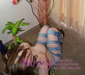 Marcely Escort putos hombres, putas mujeres, travestis de todas las regiones en Vi&ntilde;a del Mar |  Te excitar&aacute; mi delicioso cuerpo, ven te espero linda como siempre, Marcely tu escort y acompa&ntilde;ante en vi&ntilde;a del mar