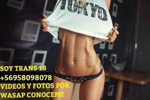 Cata 18  Escort putos hombres, putas mujeres, travestis de todas las regiones en Santiago |  Te lo chupo mejor k mina trans 18 miras mis videos wasap , Soy experta en primerisos ven animate conoceme ven