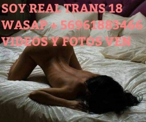 Gratis videos  Escort putos hombres, putas mujeres, travestis de todas las regiones en Providencia |  Trans 18 soy experta en primerisos y heterocuriosos  +56961883466 wasa, Te lo mamo mejor k mina mira mis videos mios reales