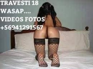 Mira mis videos Escort putos hombres, putas mujeres, travestis de todas las regiones en Providencia |  Trans 18 soy experta en primerisos y heterocuriosos  +56941291567 wasa, Te lo mamo mejor k mina mira mis videos mios reales